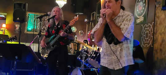 Ron on vocals and bass with TrainTime on harmonica.